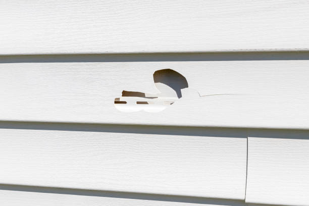 Best Same-Day Junk Removal Services  in Calvert City, KY