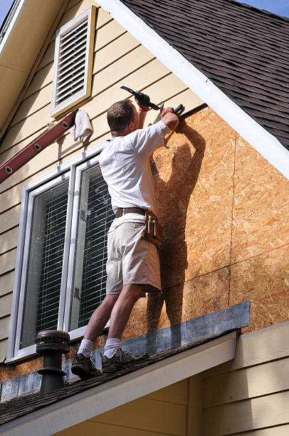Best Carpet Removal and Disposal  in Calvert City, KY